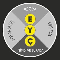 TA Coaching Model